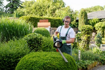 Tree & Shrub Maintenance