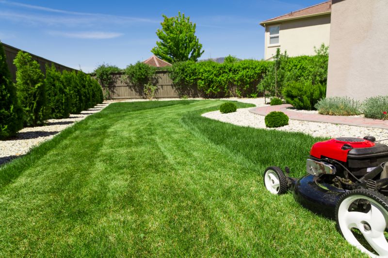Lawn Repair Service