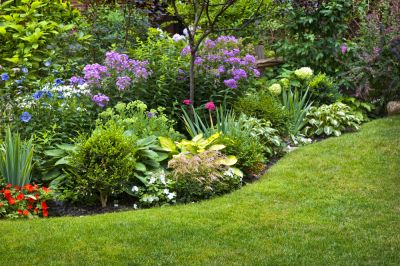 Plant New Flowers!