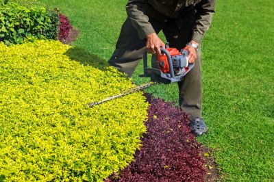 Trim Shrubs!